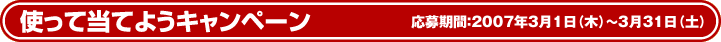 gēĂ悤Ly[
ԁF2007N31()`331(y)